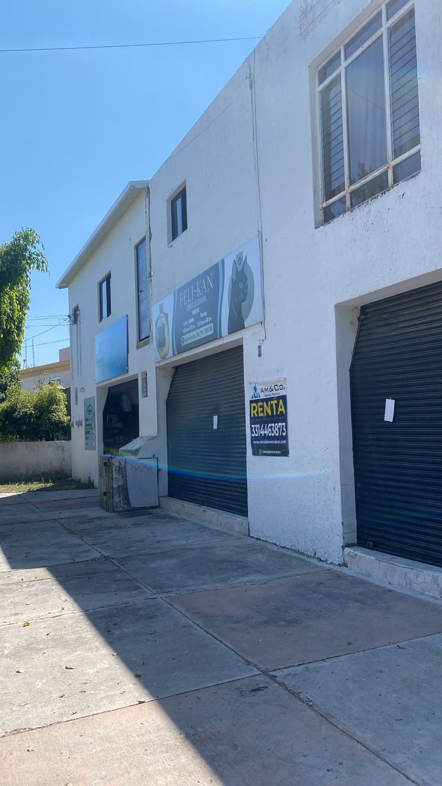 WhatsApp-Image-2026-03-20-at-4.58.01-PM