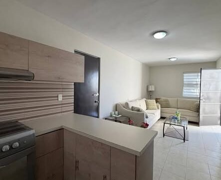 658389958_935057832815988_231353452262225849_n