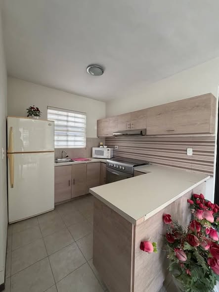 660472296_935057969482641_3457162490140083697_n