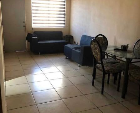 663129397_122096837108809396_7544488936395740168_n