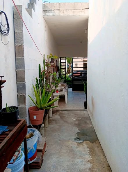 682835566_10164758714093678_9033786164577053520_n