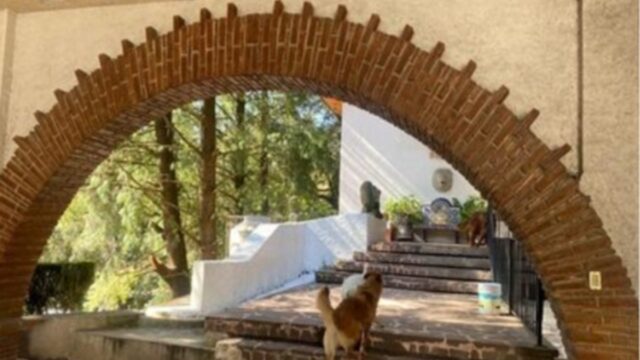 Casa-en-VENTA-para-Desarrollo-en-Cuajimalpa-CDMX-2