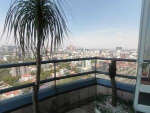 imgi_17_230404155320-1f1a194e5df64c589f344e57e0f1f9cfm