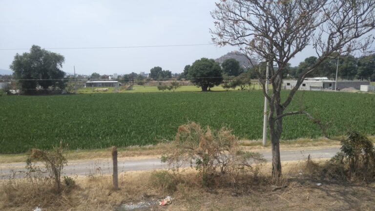 Terreno regular de 1,765 m2 Xalpatlaco servicios Atlixco Puebla