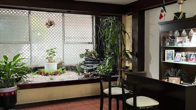 IMG-20241222-WA00151