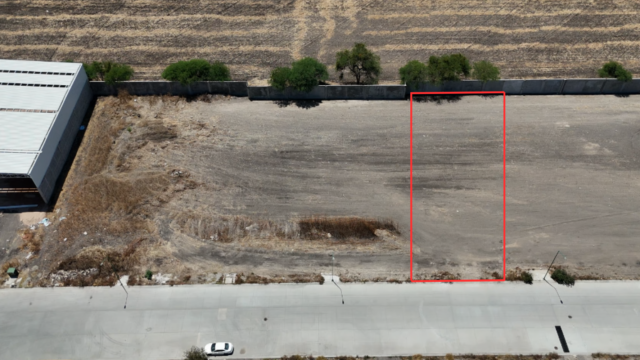 lote-38-y-39