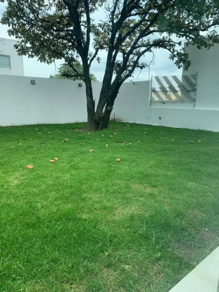 pp-260516114052-aac1b7102d064f40aa6ad2f2dfedfb03l