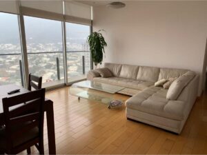 DEPARTAMENTO EN RENTA DE 1R EN MÁS PALOMAS (VALLE DE SANTIAGO), MONTERREY. N.L.