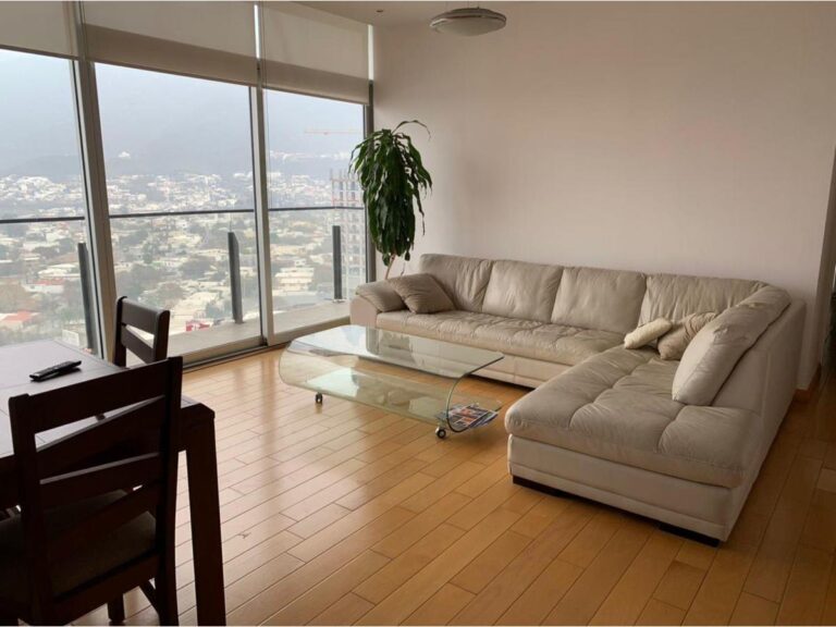 DEPARTAMENTO EN RENTA DE 1R EN MÁS PALOMAS (VALLE DE SANTIAGO), MONTERREY. N.L.