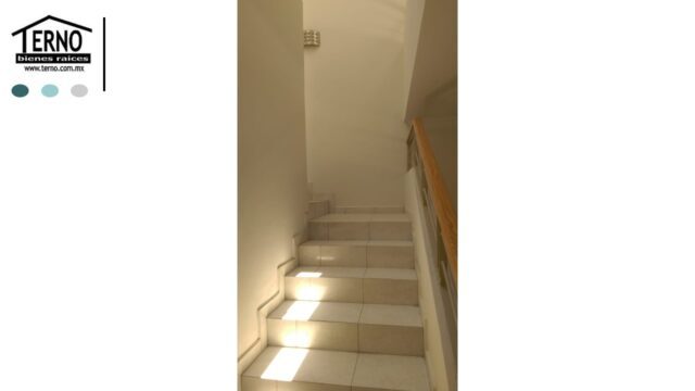Diapositiva16