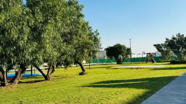 pp-260703035107-021af79d1f8944fc93597f1542b856a9l