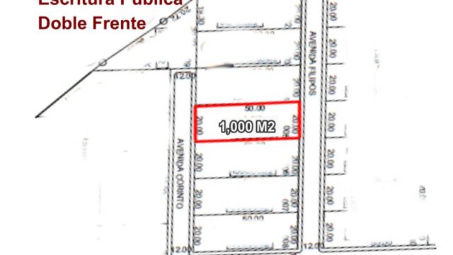VENTA-TERRENO-LOTE-CAMPESTRE-1000-M2-MONTE-SION-BERRIOZABAL-CHIAPAS-1