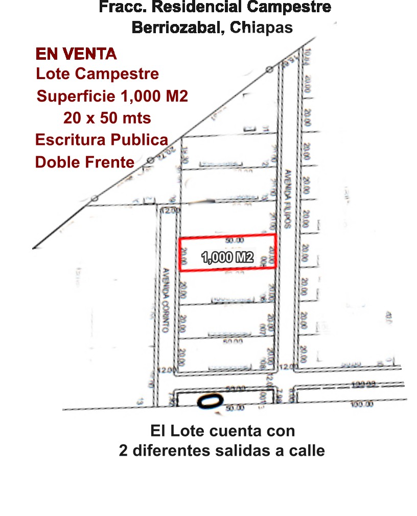 VENTA-TERRENO-LOTE-CAMPESTRE-1000-M2-MONTE-SION-BERRIOZABAL-CHIAPAS-1