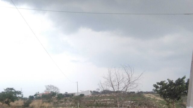VENTA-TERRENO-LOTE-CAMPESTRE-1000-M2-MONTE-SION-BERRIOZABAL-CHIAPAS-10