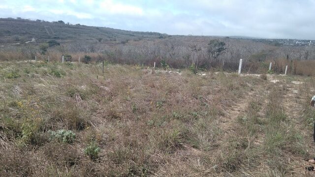 VENTA-TERRENO-LOTE-CAMPESTRE-1000-M2-MONTE-SION-BERRIOZABAL-CHIAPAS-13