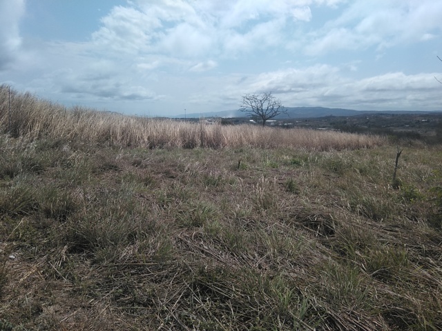 VENTA-TERRENO-LOTE-CAMPESTRE-1000-M2-MONTE-SION-BERRIOZABAL-CHIAPAS-14