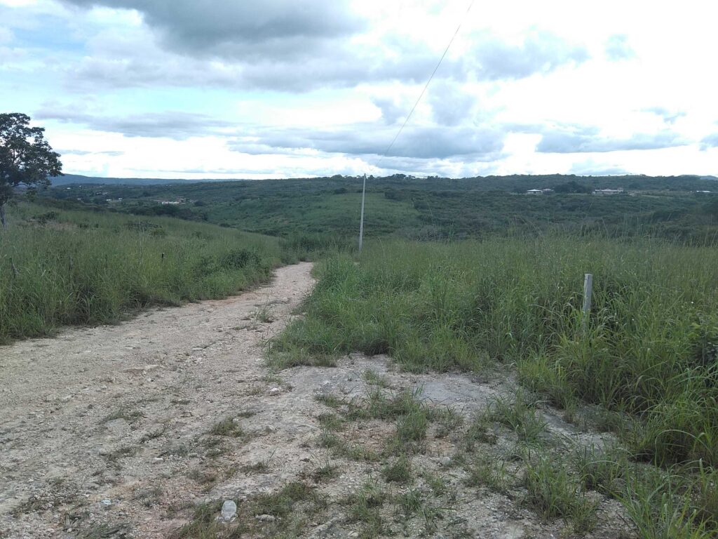 VENTA-TERRENO-LOTE-CAMPESTRE-1000-M2-MONTE-SION-BERRIOZABAL-CHIAPAS-2