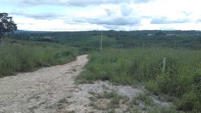 VENTA-TERRENO-LOTE-CAMPESTRE-1000-M2-MONTE-SION-BERRIOZABAL-CHIAPAS-2