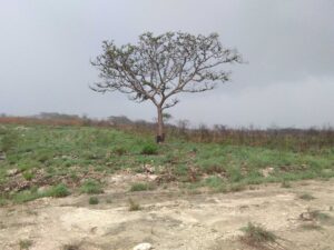 En Venta TERRENO LOTE campestre de 1,000 M2 con doble frente, Fracc Residencial Campestre, Berriozabal, Chiapas, Mexico
