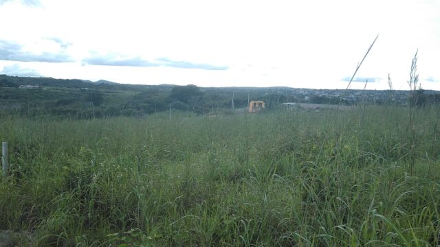 VENTA-TERRENO-LOTE-CAMPESTRE-1000-M2-MONTE-SION-BERRIOZABAL-CHIAPAS-5