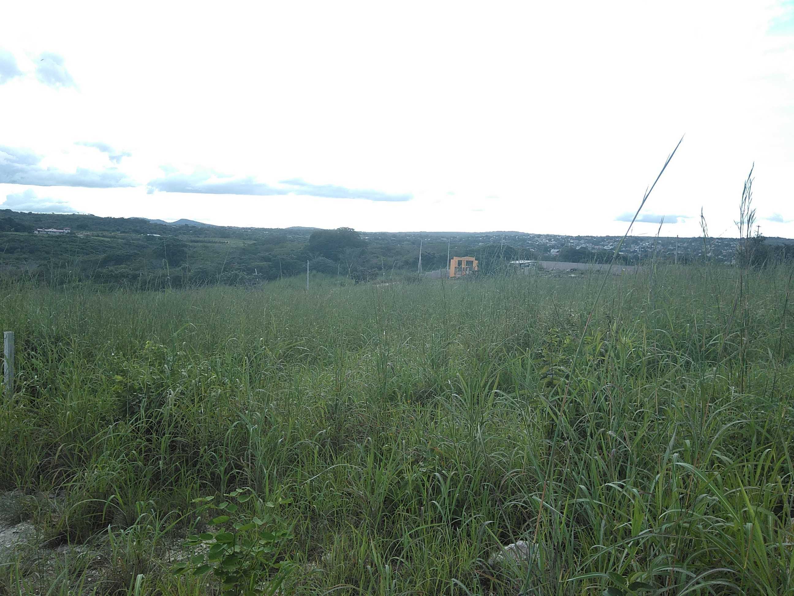 VENTA-TERRENO-LOTE-CAMPESTRE-1000-M2-MONTE-SION-BERRIOZABAL-CHIAPAS-5