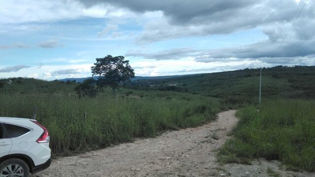 VENTA-TERRENO-LOTE-CAMPESTRE-1000-M2-MONTE-SION-BERRIOZABAL-CHIAPAS-6