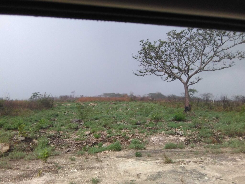 VENTA-TERRENO-LOTE-CAMPESTRE-1000-M2-MONTE-SION-BERRIOZABAL-CHIAPAS-7