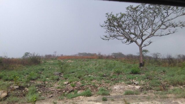 VENTA-TERRENO-LOTE-CAMPESTRE-1000-M2-MONTE-SION-BERRIOZABAL-CHIAPAS-7