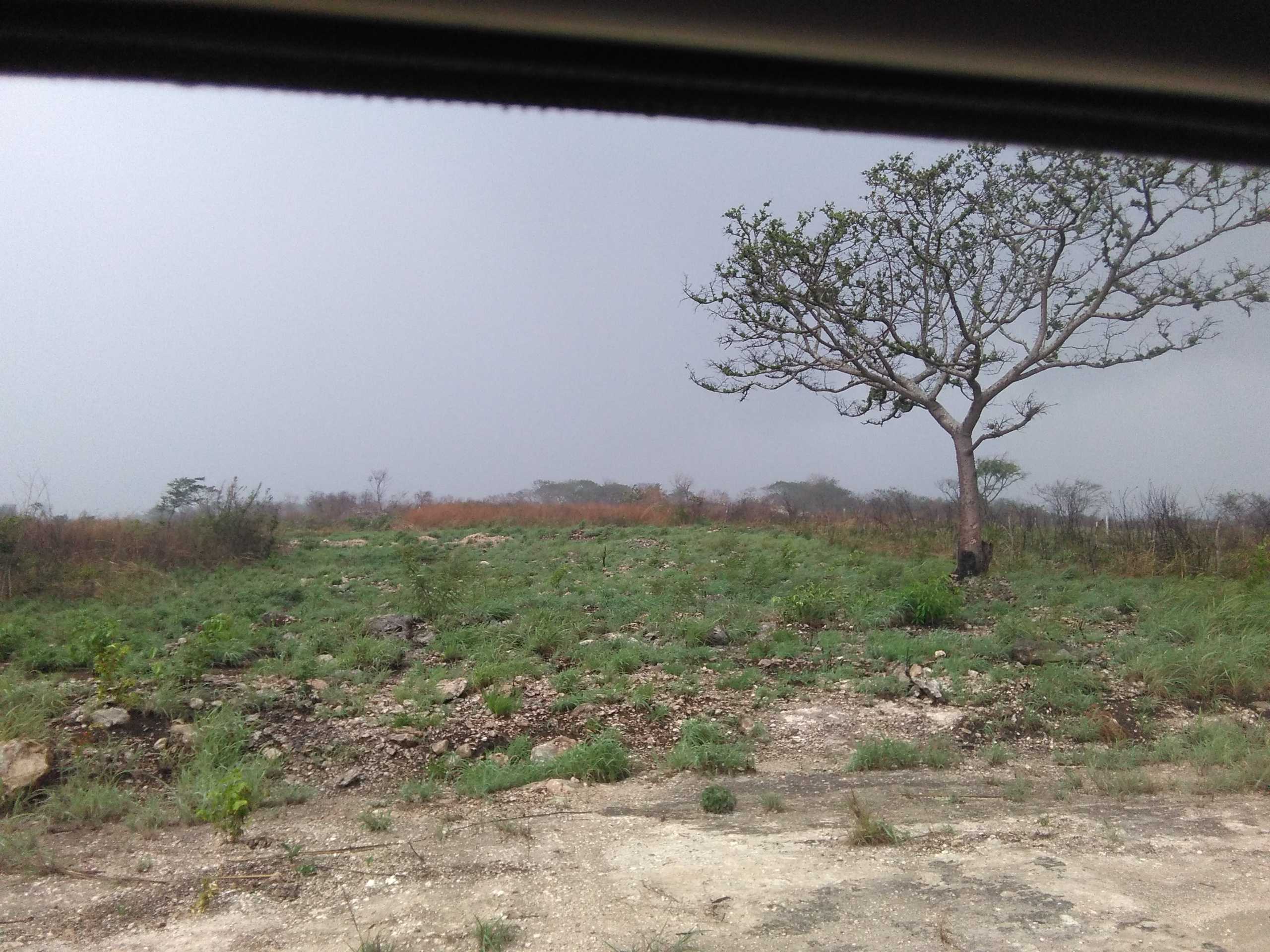 VENTA-TERRENO-LOTE-CAMPESTRE-1000-M2-MONTE-SION-BERRIOZABAL-CHIAPAS-7